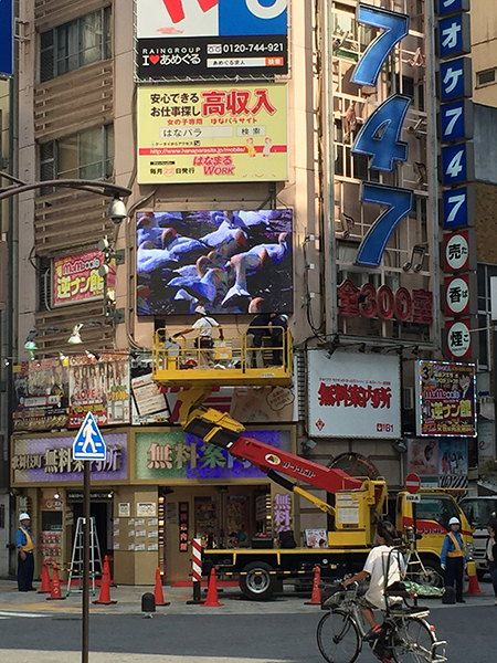 747金嶋ビル